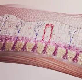 Výsledky ošetrenia prístrojom CELLU M6 INFINITY® MEDICAL